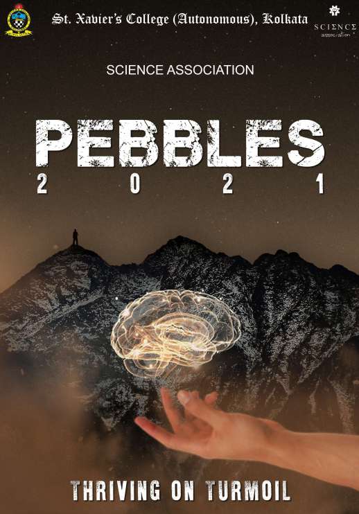 pebbles21